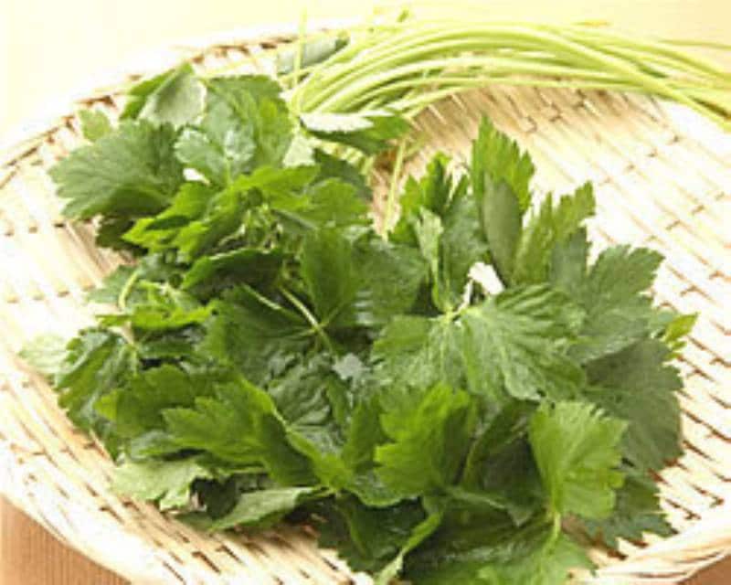 ミツバ 香りの名脇役 アイリスプラザ メディア