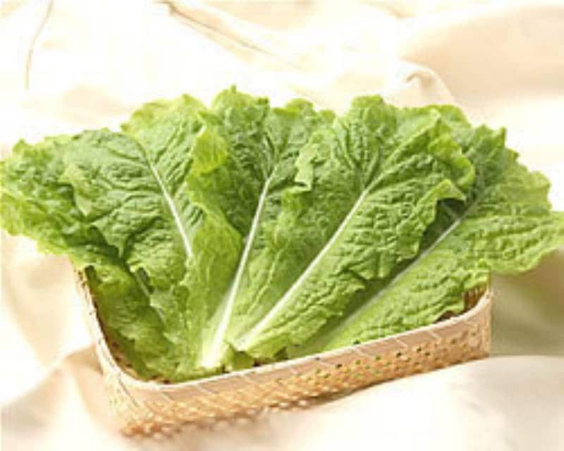 サンチュ 焼肉といえば野菜はこれ アイリスプラザ メディア