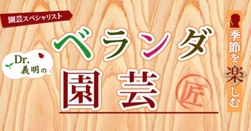 第１回 つる性野菜で目隠し家庭菜園 アイリスプラザ メディア