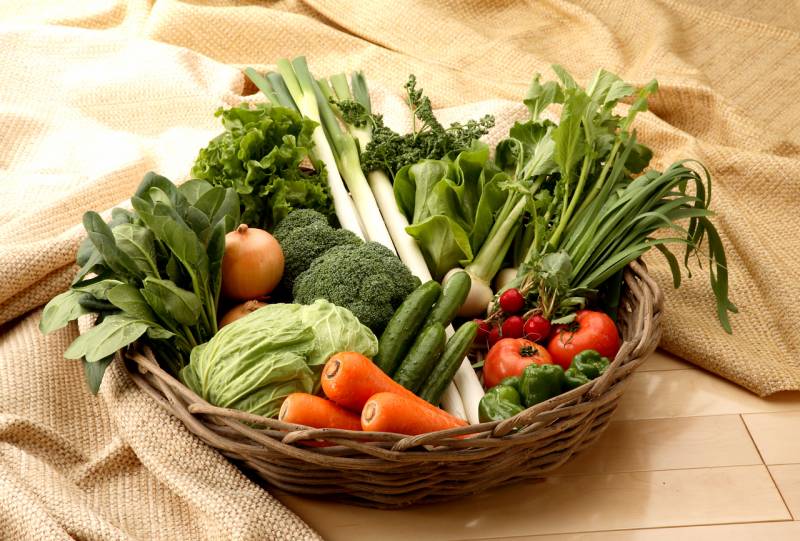 色々な野菜のタネをまこう アイリスプラザ メディア