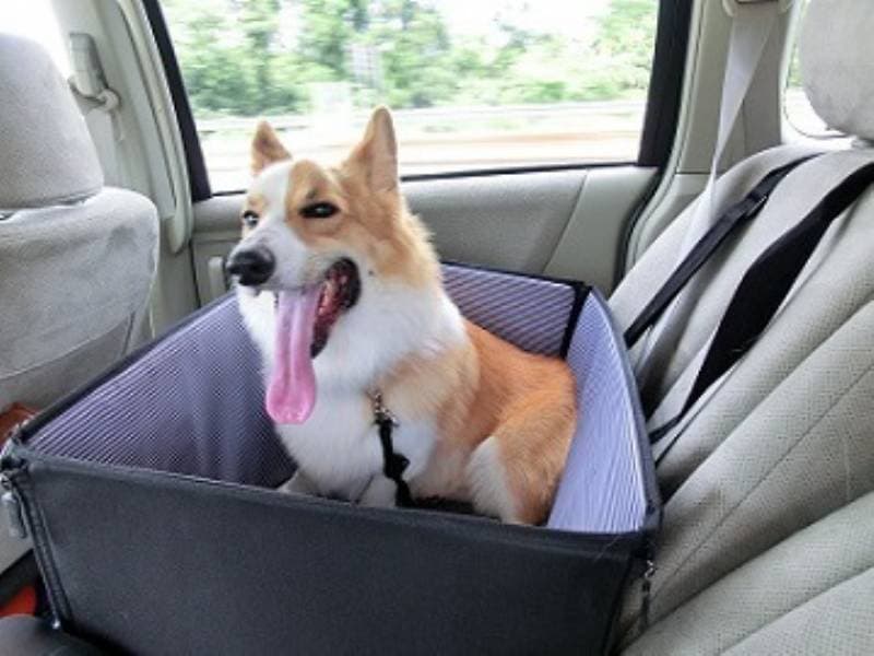 ドライブボックス Pdw 60 アイリスプラザ メディア