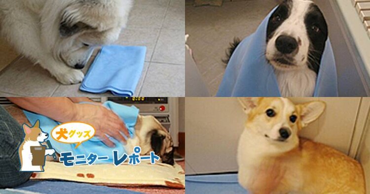 zybgp^I`̃j^[|[g
