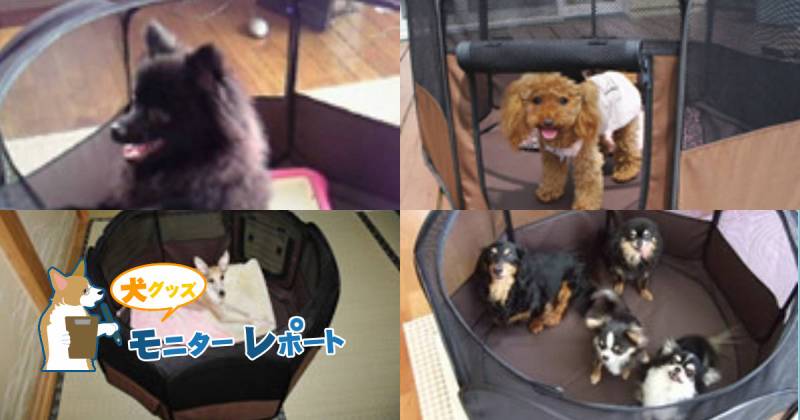 折りたたみできるソフトサークル 犬のモニターレポート アイリスプラザ メディア 折りたたみできるソフトサークル 犬のモニターレポート アイリスプラザ メディア