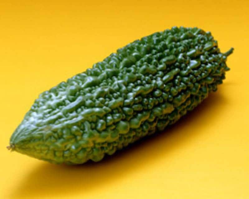 ゴーヤ ニガウリ 高温が好きです ５月中旬に植え付けを アイリスプラザ メディア