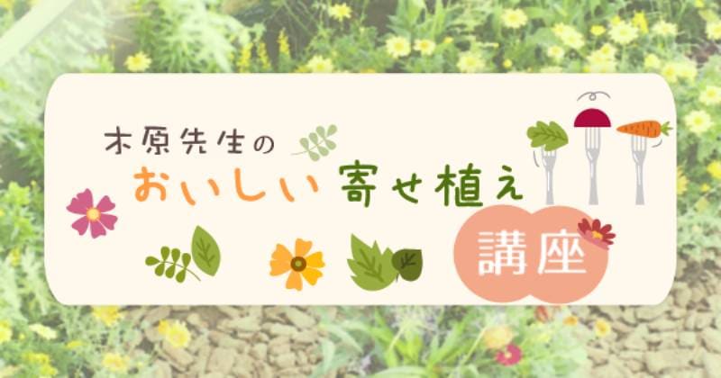 04 初心者にオススメ 葉野菜のミックスサラダ バスケット アイリスプラザ メディア 04 初心者にオススメ 葉野菜のミックスサラダ バスケット アイリスプラザ メディア
