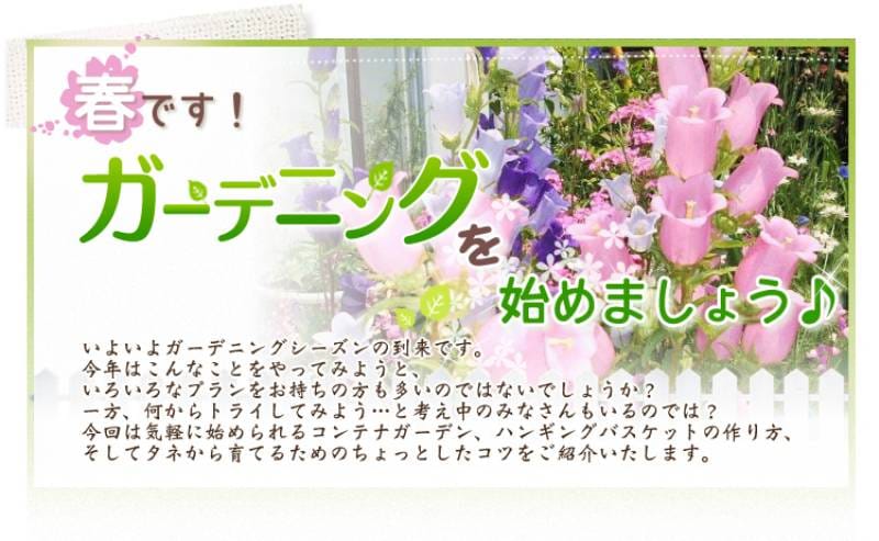 ハンギングバスケット アイリスプラザ メディア