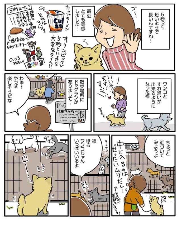 5秒フンフン | アイリスプラザ_メディア