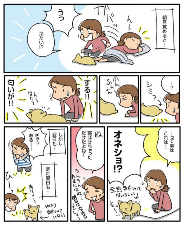 謎のオネショ アイリスプラザ メディア