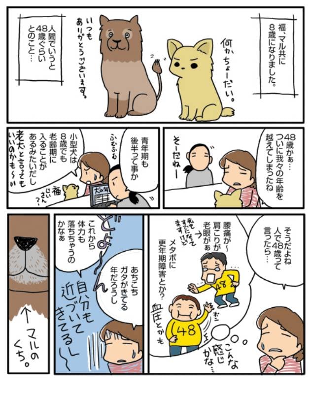 48歳ですけども アイリスプラザ メディア