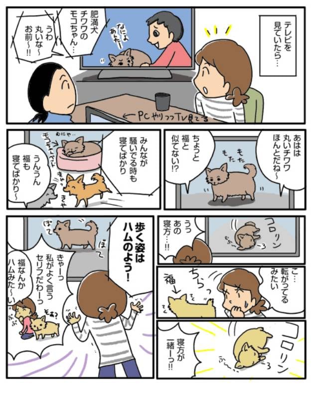 君もハム アイリスプラザ メディア