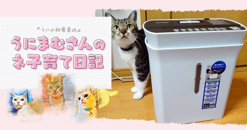 細かさにビックリ うにまむさんのネ子育て日記 アイリスプラザ メディア