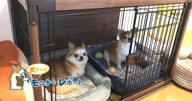 インテリアウッディサークル ダークブラウンモニターレポート