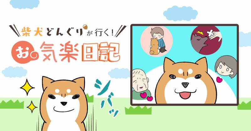 よそ犬の正しいさわり方 柴犬どんぐり アイリスプラザ メディア