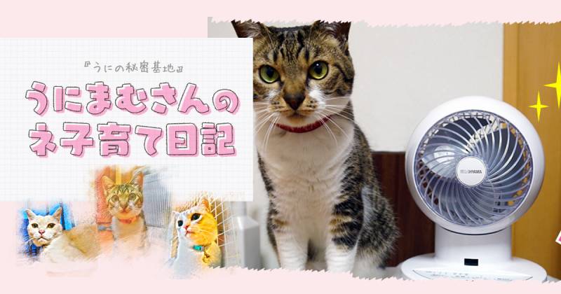 ちっちゃいけれどパワフルだ！～うにまむさんのネ子育て日記