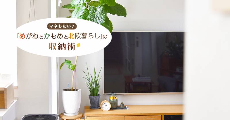 楽天市場】観葉植物（テレビ台・ローボード｜収納家具）：インテリア