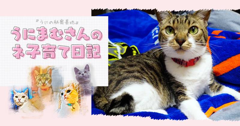 そう見えなくてもプレ・シニアです  アイリスプラザ_メディア
