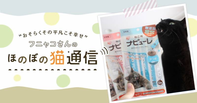 新商品ナピューレをお試し アイリスプラザ メディア