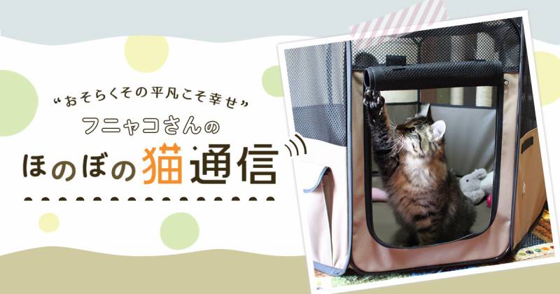 折りたたみサークルをお試し アイリスプラザ メディア