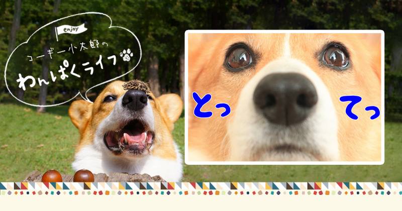 一緒にあそぶ アイリスプラザ メディア