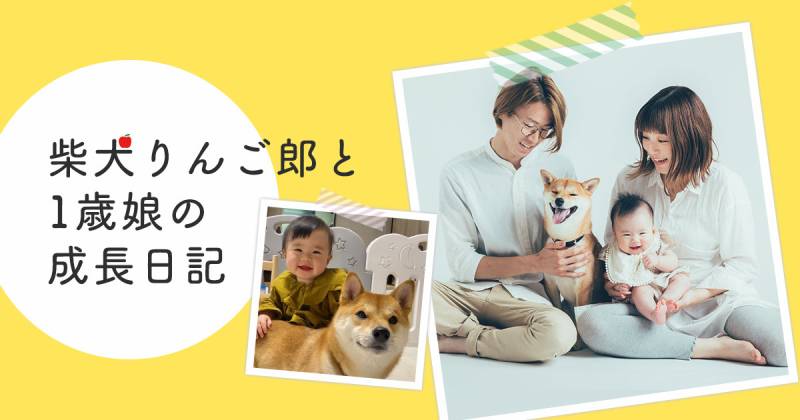 人間も犬も 家族全員 が仲良く共存できる暮らしが目標 柴犬りんご郎と1歳娘の成長日記 アイリスプラザ メディア