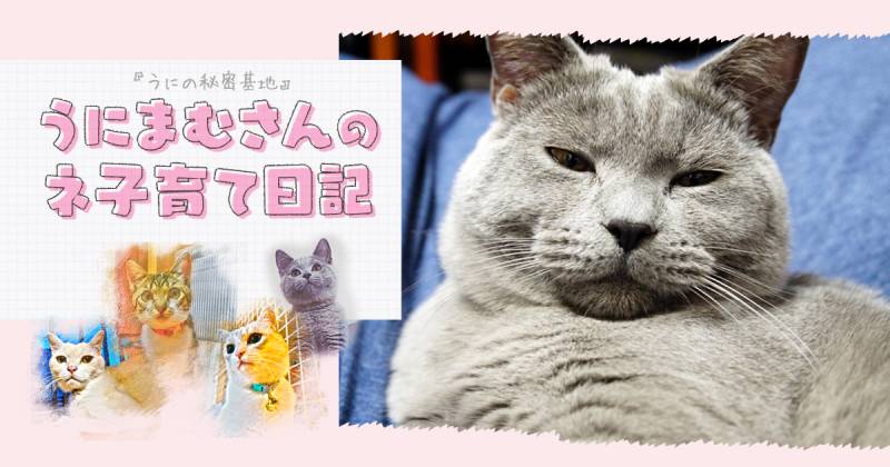 春の抜け毛 今年はどうだった アイリスプラザ メディア