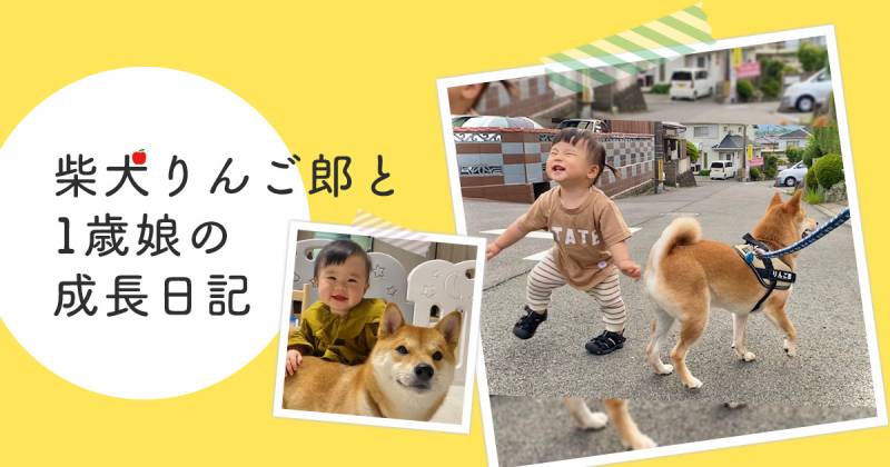 娘が柴犬兄さんと一緒に散歩できる日を今から楽しみにしている アイリスプラザ メディア