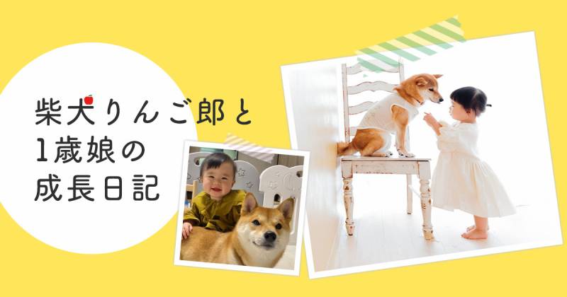 我が家に柴犬を迎えた日から毎年家族写真を定期的に撮影している話 アイリスプラザ メディア 我が家に柴犬を迎えた日から毎年家族写真を定期的に撮影している話 アイリスプラザ メディア