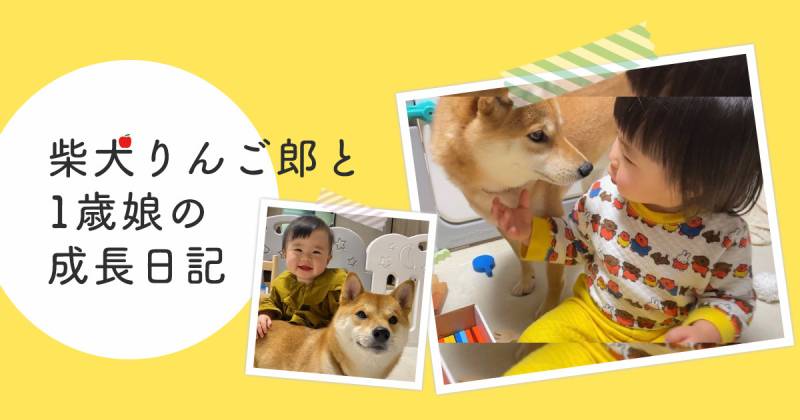 成長する姿はあっという間なので 今目の前にある景色を大切に過ごしていきたい アイリスプラザ メディア