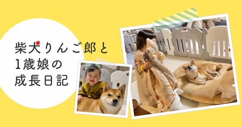 自分がしてもらっている寝かしつけを 柴犬兄さんにも真似しようとする娘がいる アイリスプラザ メディア 自分がしてもらっている寝かしつけを 柴犬兄さんにも真似しようとする娘がいる アイリスプラザ メディア