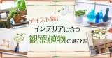 Original.png?jp.co