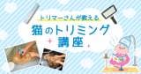 Original.png?jp.co