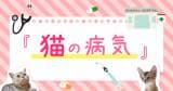 Original.png?jp.co