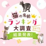 猫の名前ランキング大調査２０１５ 結果発表 アイリスプラザ メディア