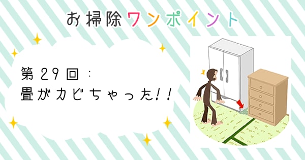 Original.png?jp.co