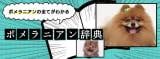 Original.png?jp.co