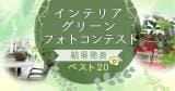 Original.png?jp.co