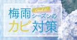 Original.png?jp.co
