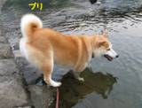 Original.jpg?jp.co