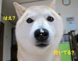 Original.jpg?jp.co