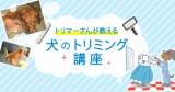 Original.png?jp.co