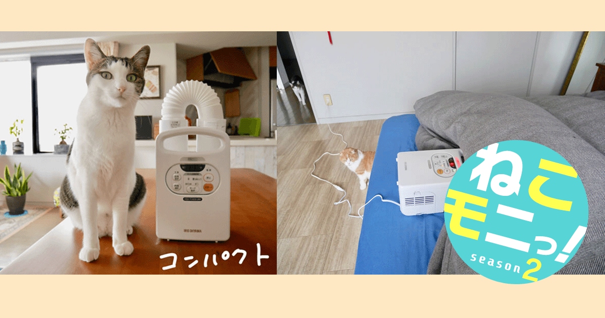 Original.png?jp.co