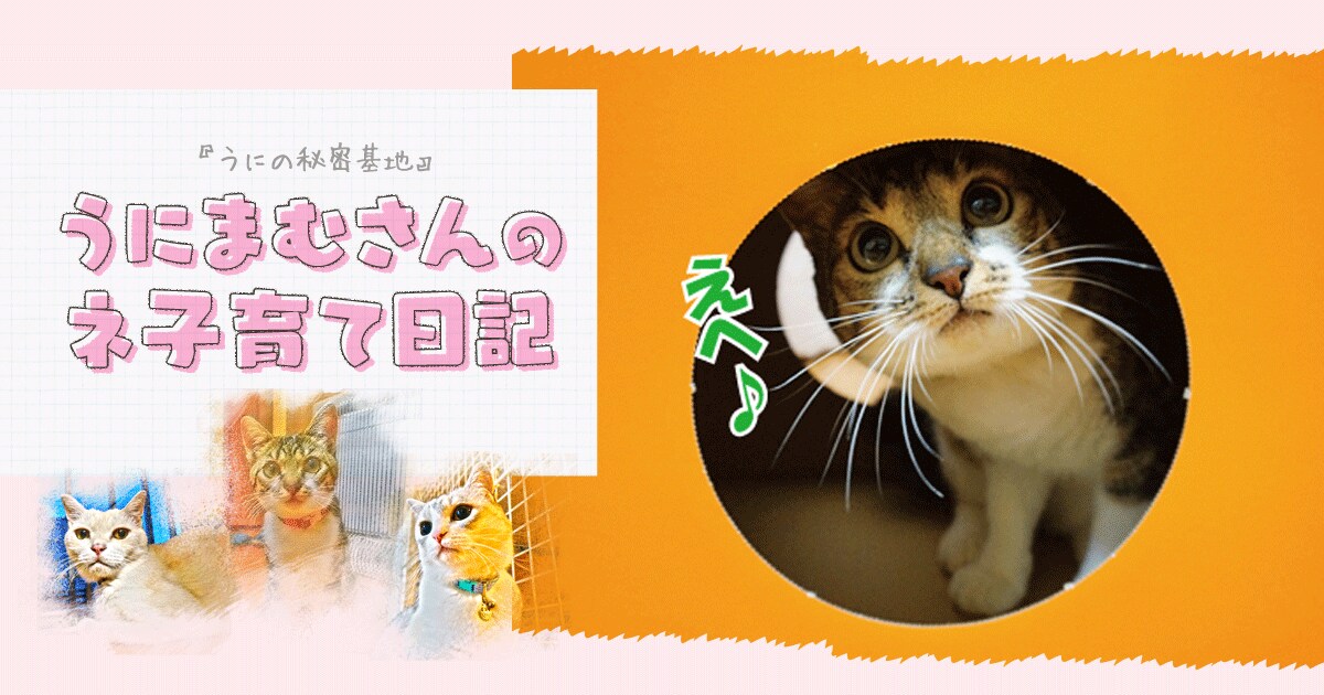 Original.png?jp.co
