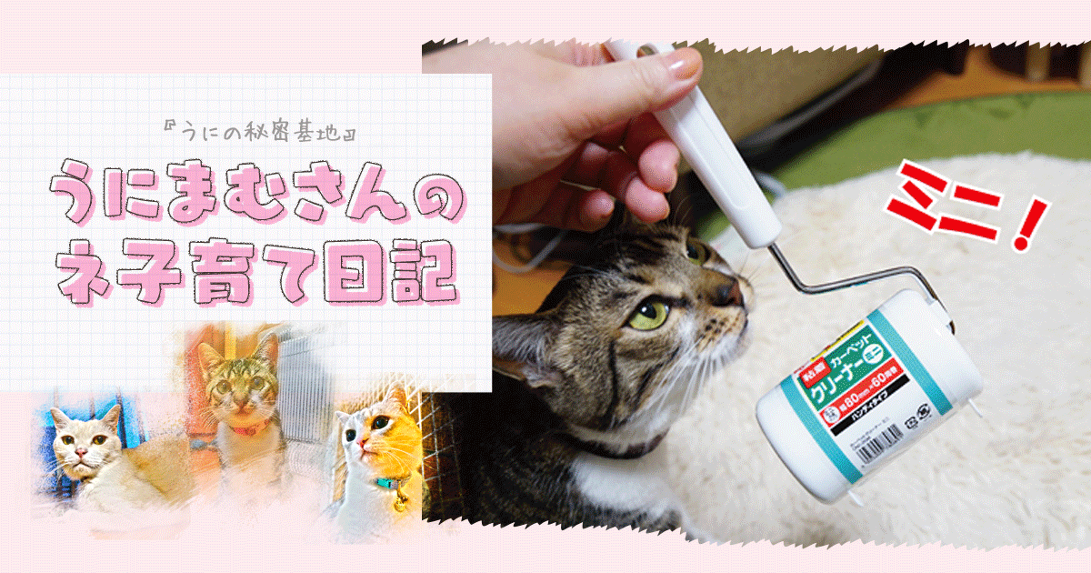 Original.png?jp.co