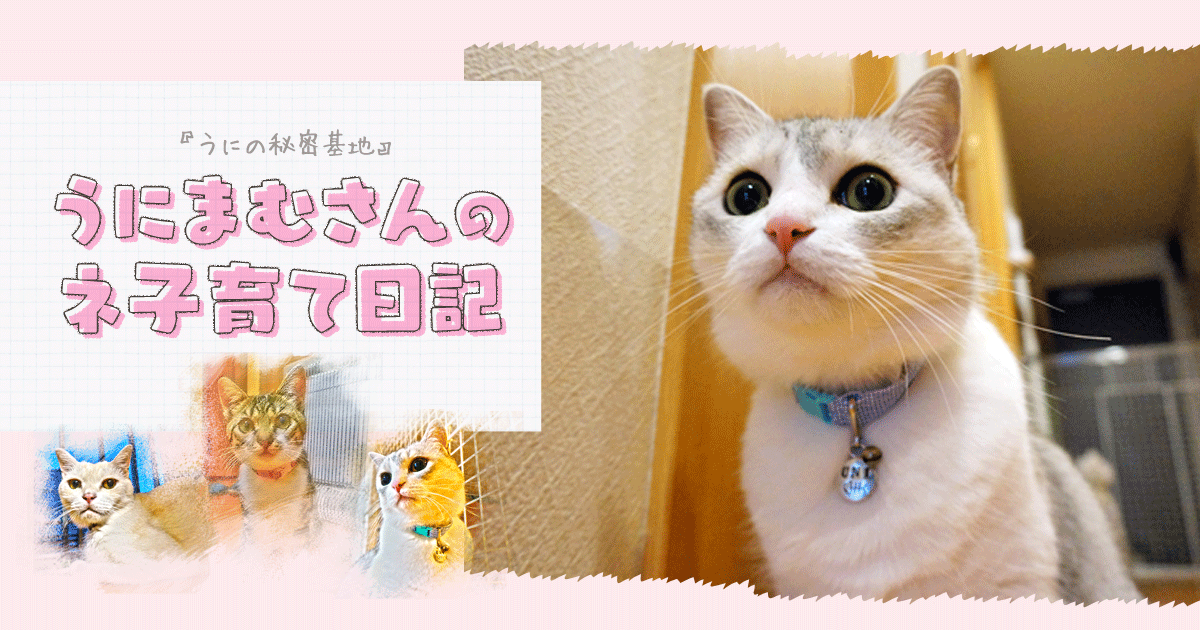 Original.png?jp.co