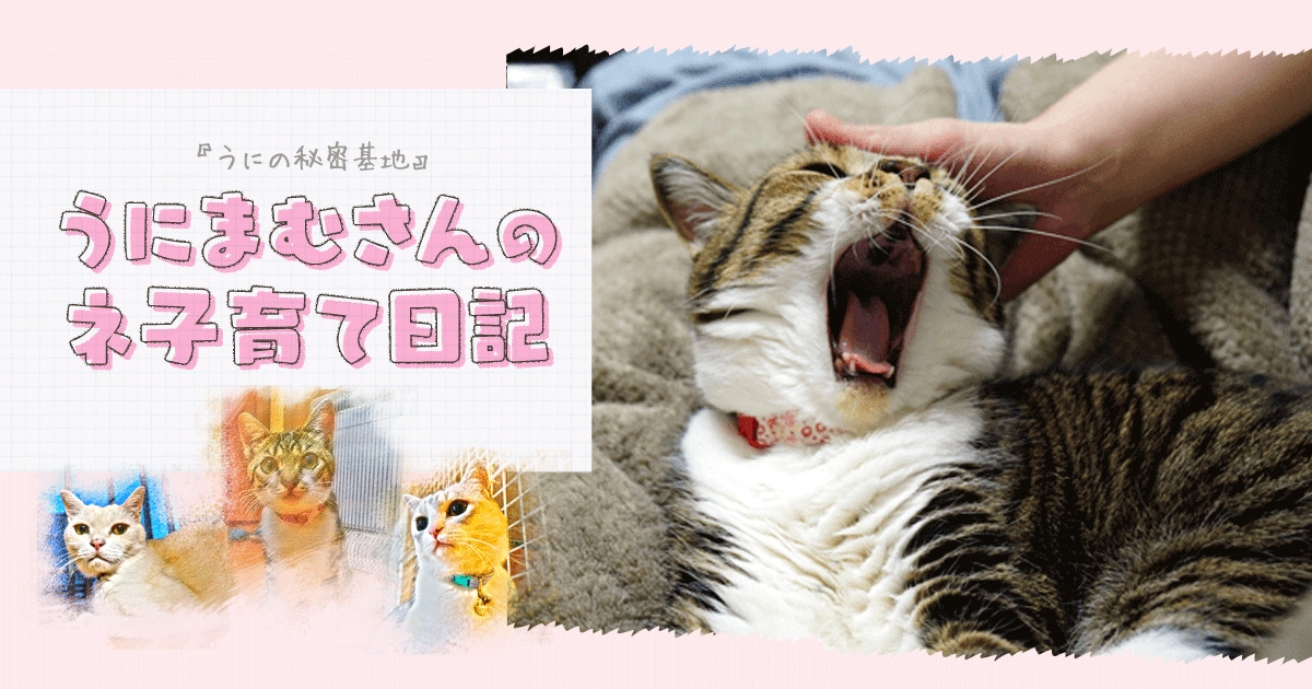 Original.png?jp.co