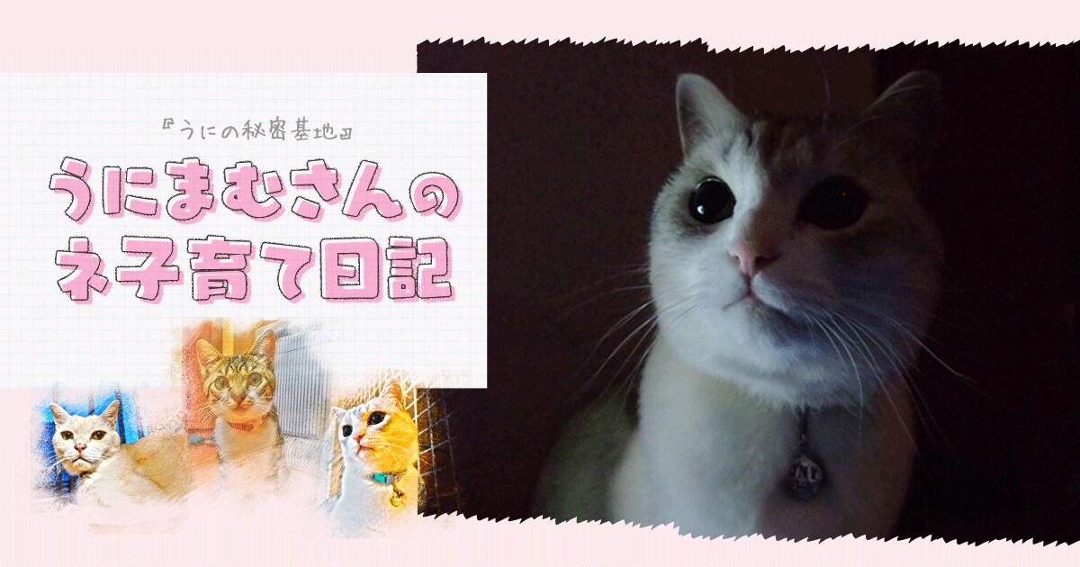 Original.png?jp.co