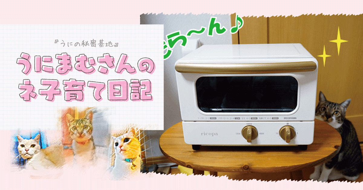 Original.png?jp.co