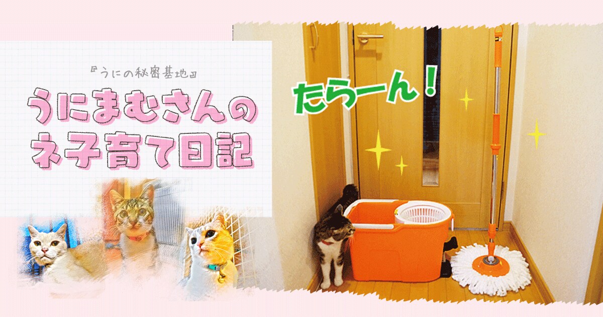 Original.png?jp.co