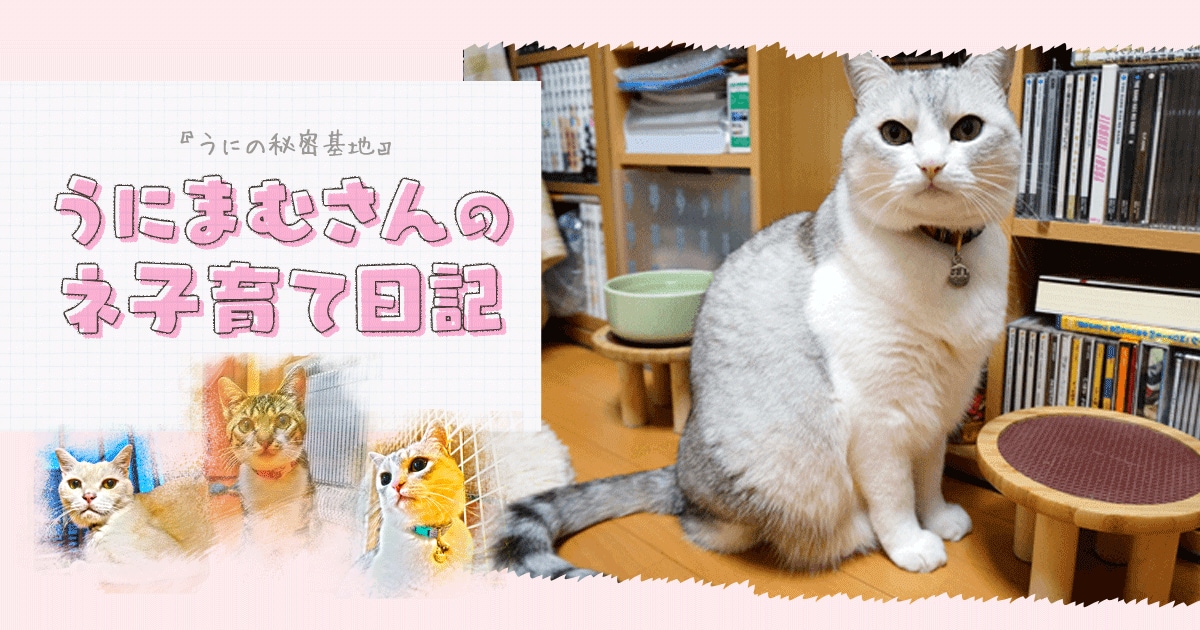 Original.png?jp.co