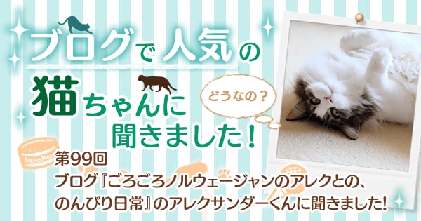 Original.png?jp.co